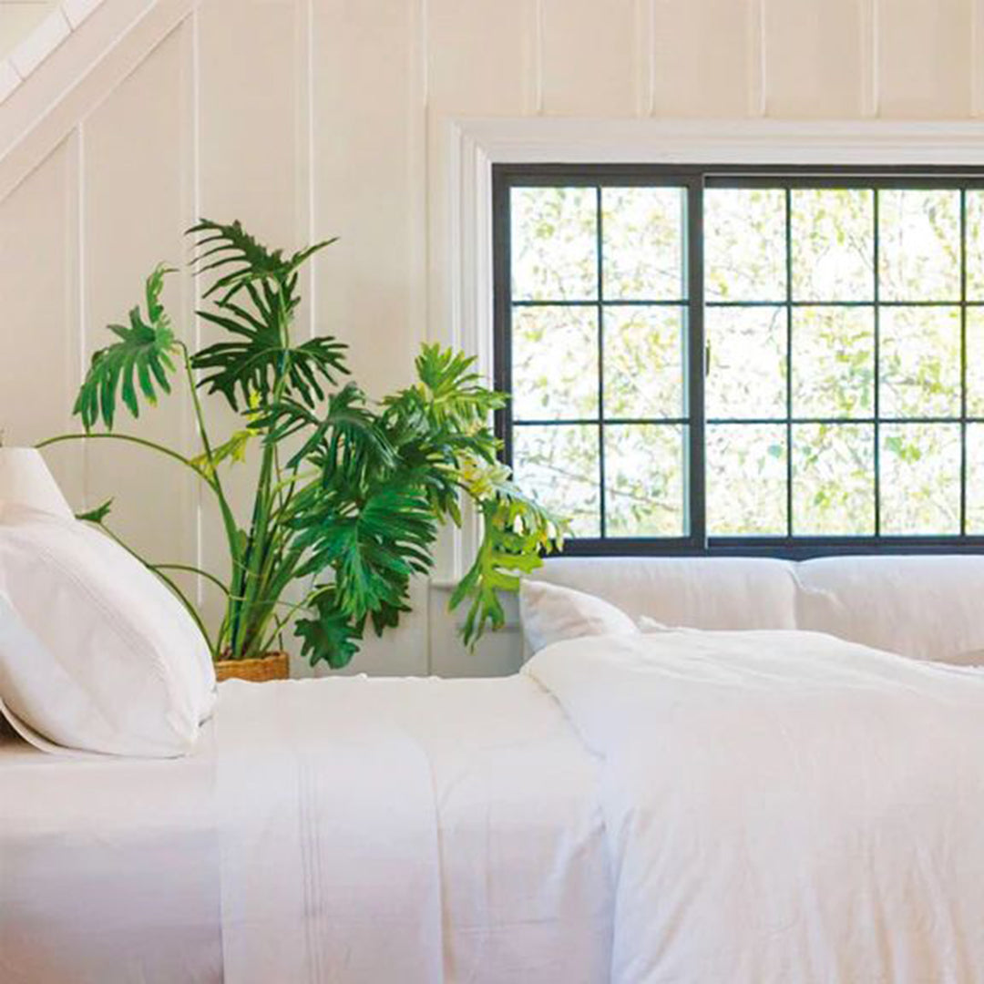 Bed Sheets